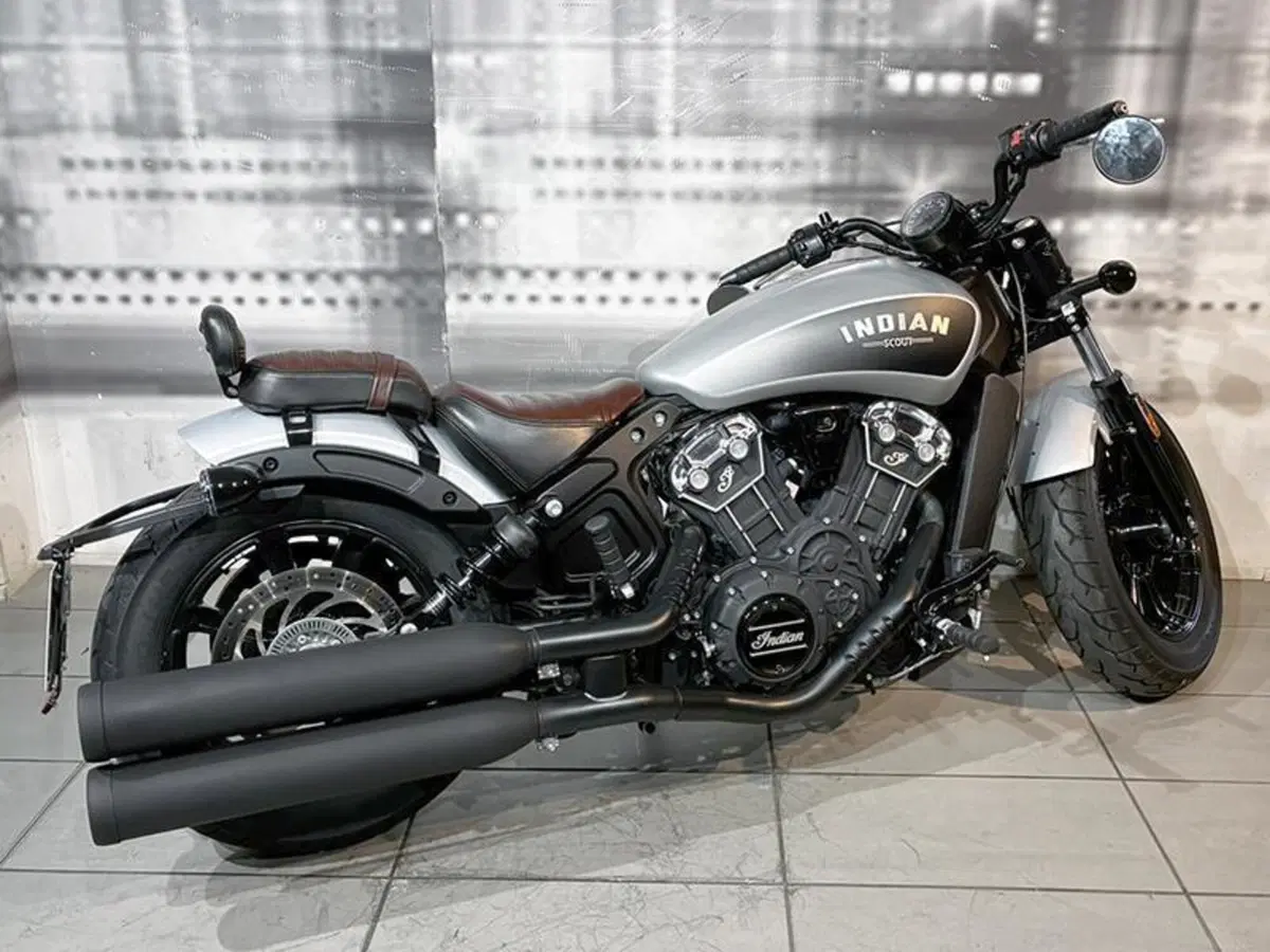 Indian Scout 1133 (2017 - 19) (4)