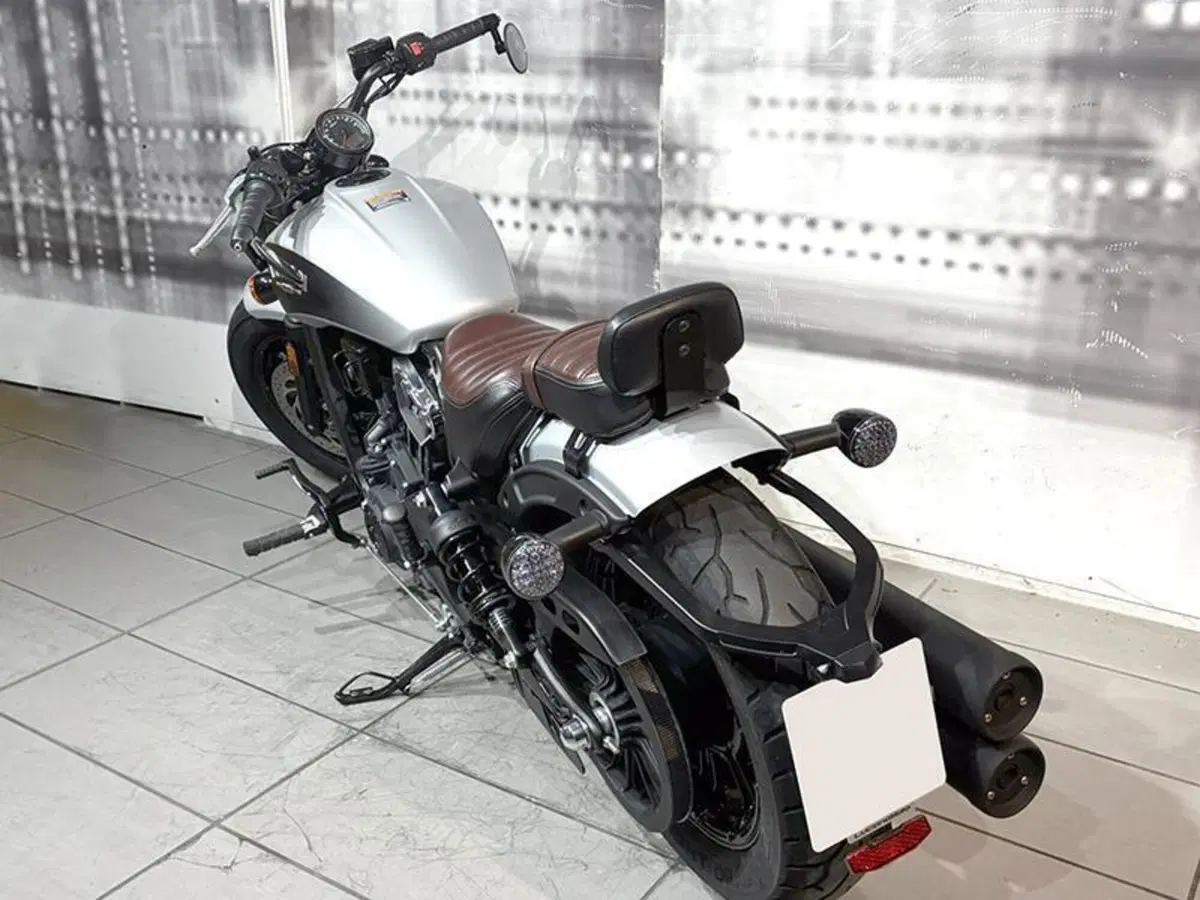 Indian Scout 1133 (2017 - 19) (5)