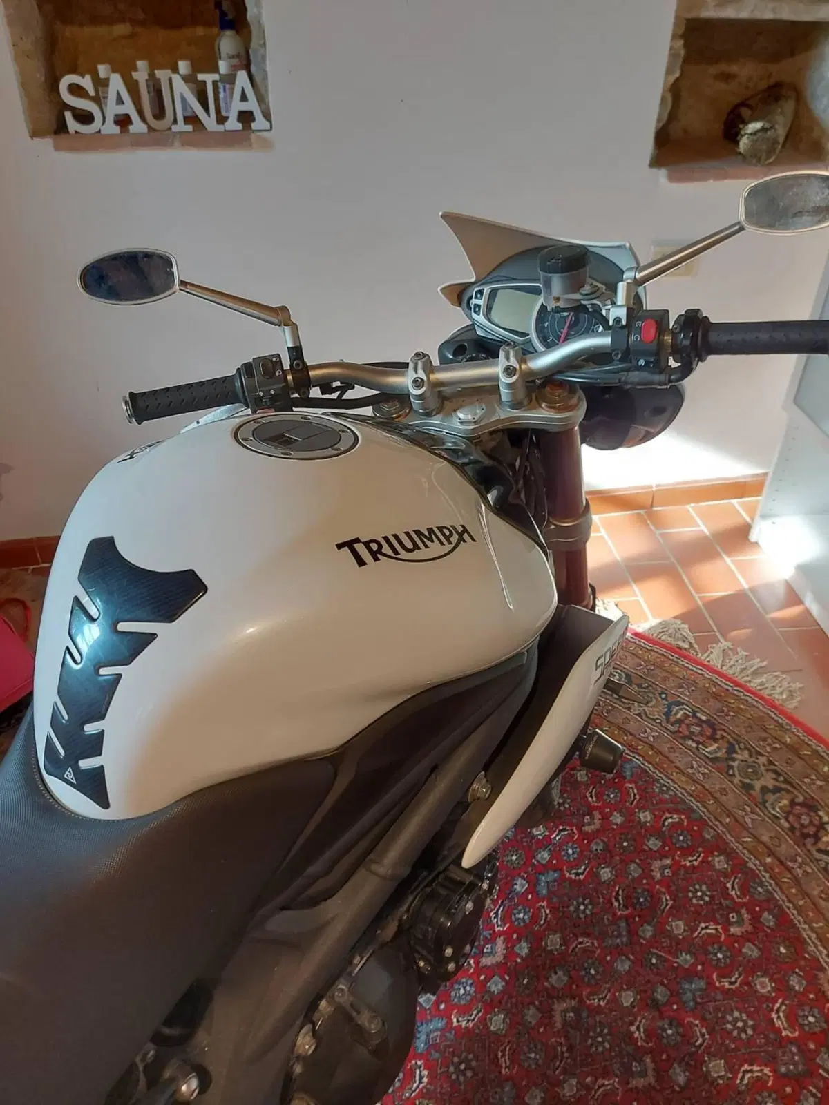 Triumph Speed Triple 1050 R ABS (2011 - 15) (5)
