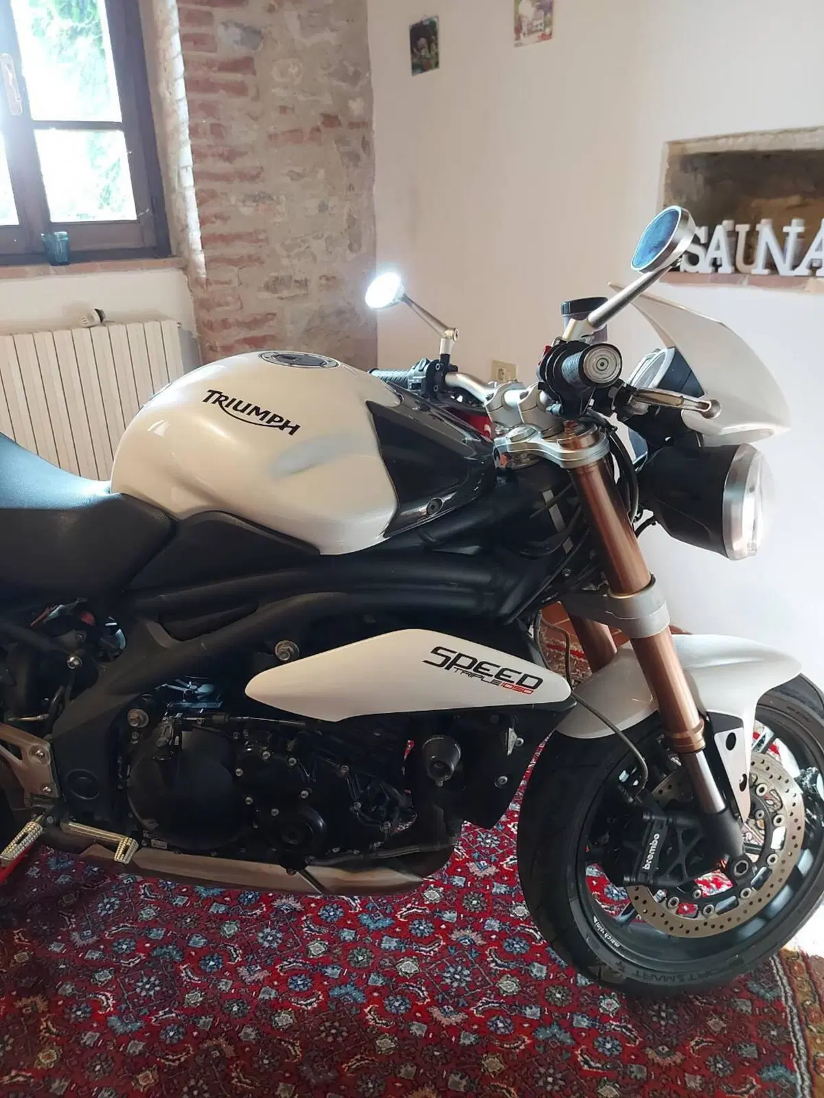 Triumph Speed Triple 1050 R ABS (2011 - 15) (6)
