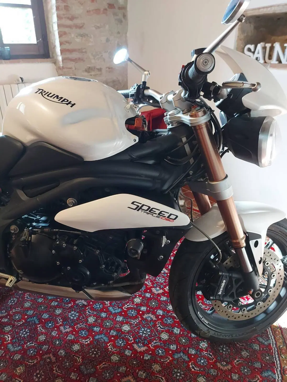 Triumph Speed Triple 1050 R ABS (2011 - 15) (7)