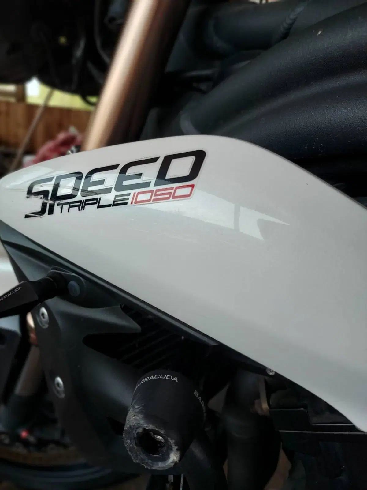 Triumph Speed Triple 1050 R ABS (2011 - 15) (14)