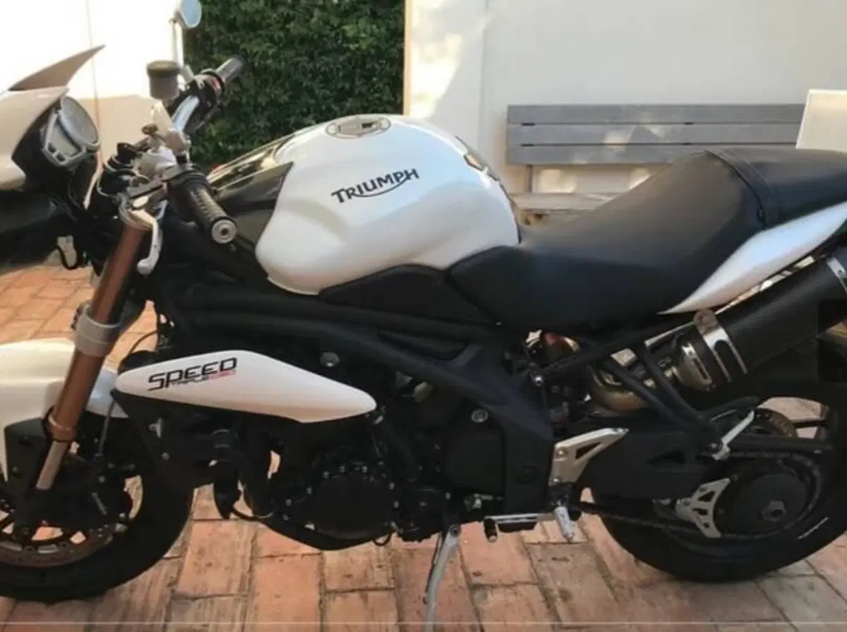 Triumph Speed Triple 1050 R ABS (2011 - 15)
