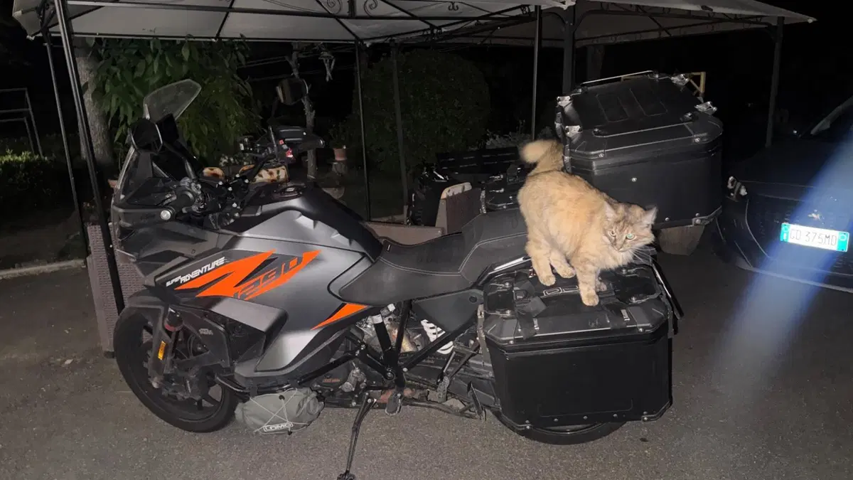 KTM 1290 Super Adventure S (2021 - 25) (4)