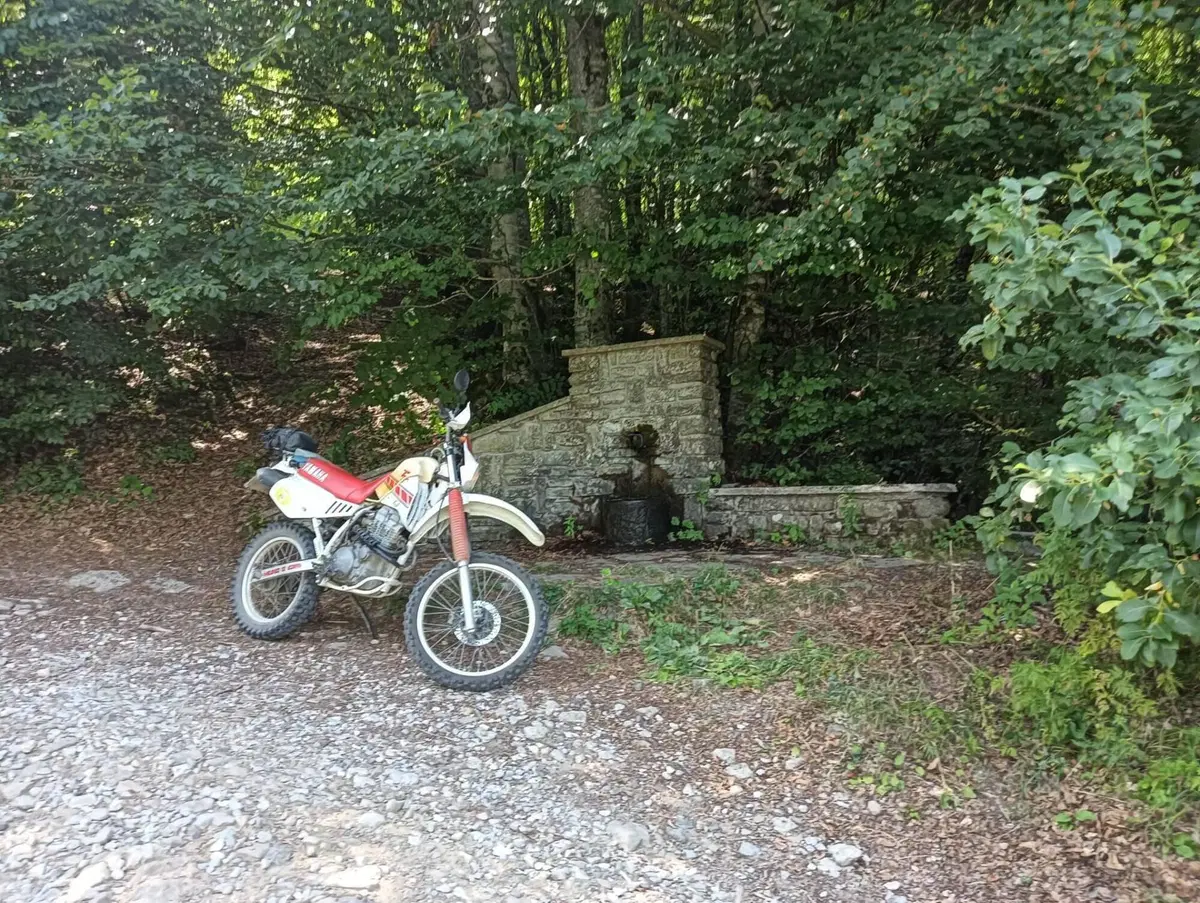 Yamaha TT 350 (4)