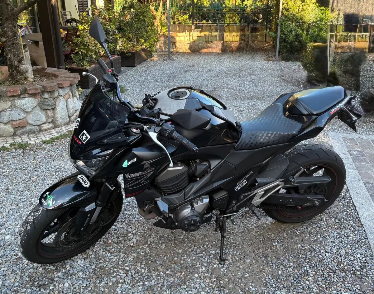 Kawasaki Z 800 ABS (2012 - 16)