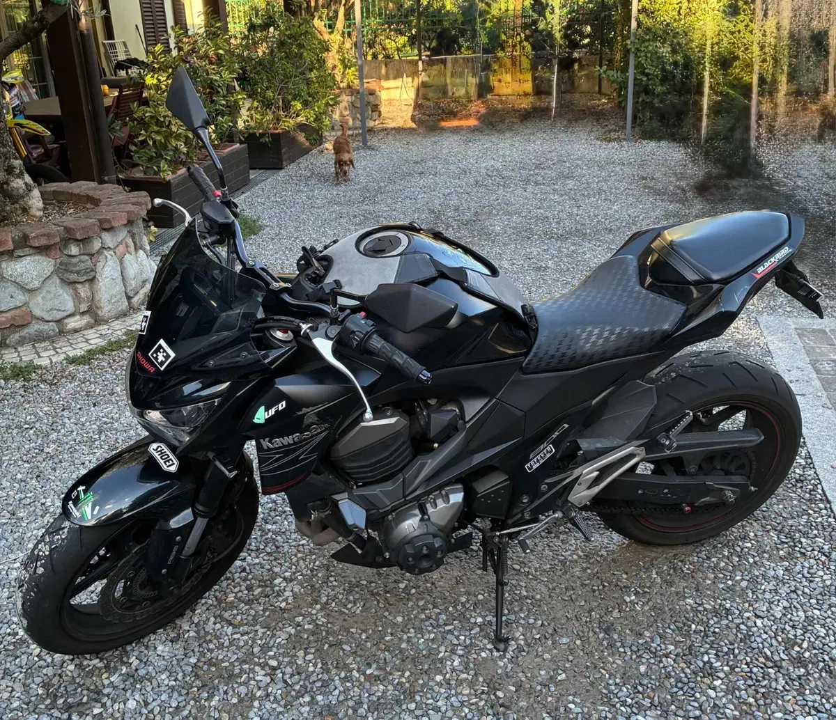 Kawasaki Z 800 ABS (2012 - 16) (6)