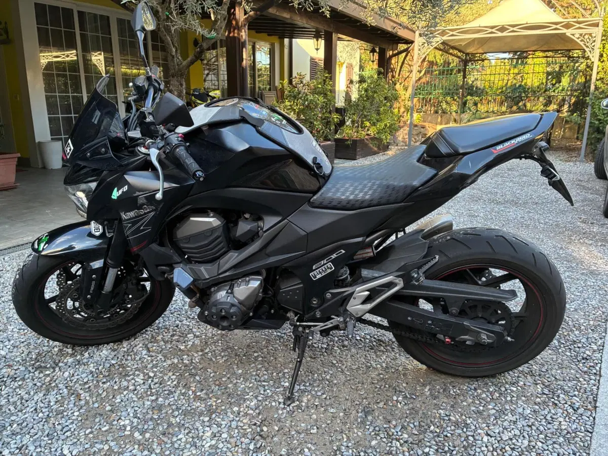 Kawasaki Z 800 ABS (2012 - 16) (10)