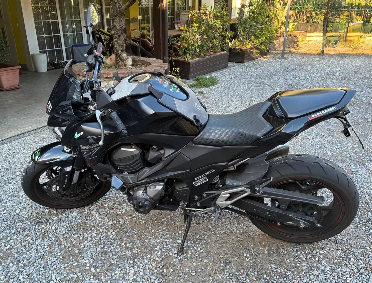 Kawasaki Z 800 ABS (2012 - 16) (12)