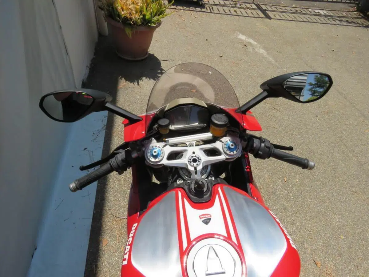 Ducati 1199 Panigale R ABS (2013 - 17) (10)