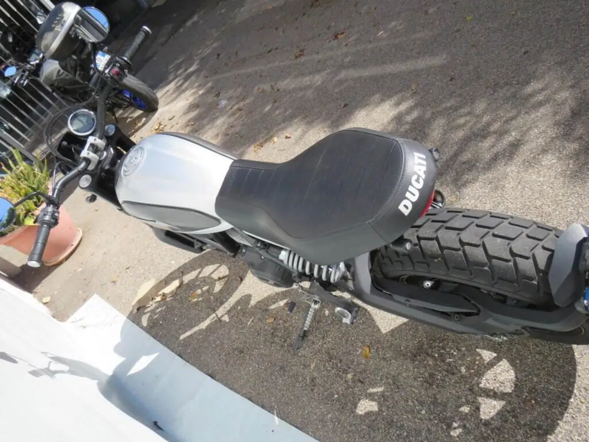 Ducati Scrambler 800 Icon (2015 - 16) (4)