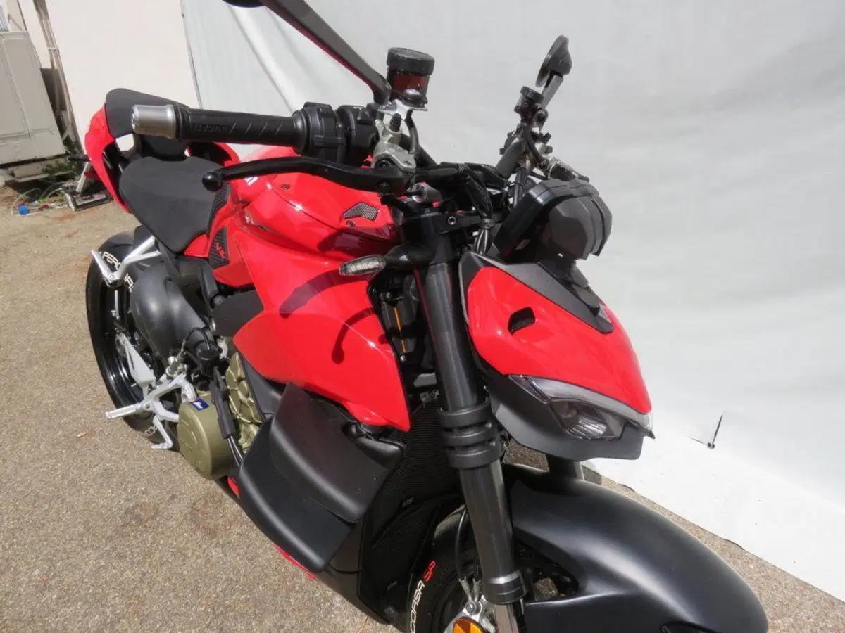 Ducati Streetfighter V4 1100 (2020) (7)
