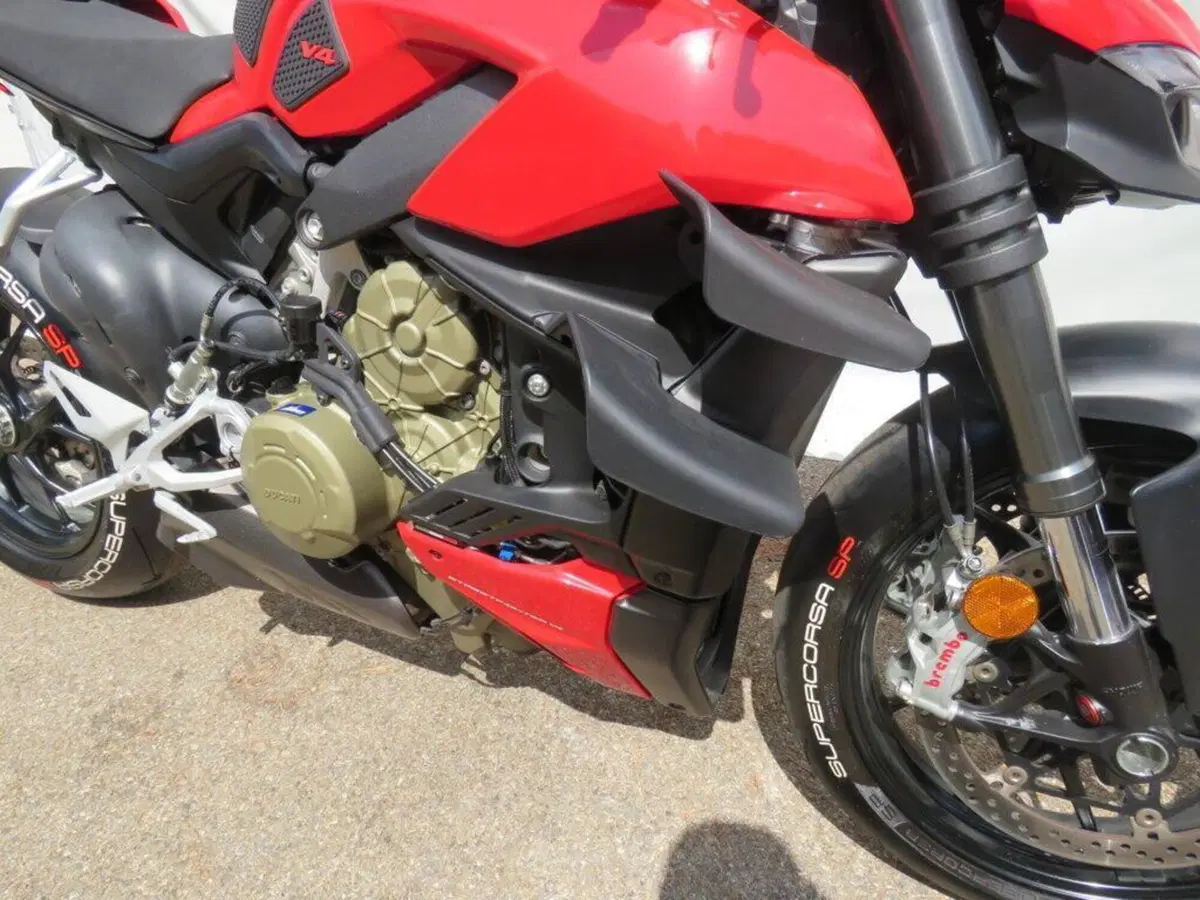 Ducati Streetfighter V4 1100 (2020) (10)