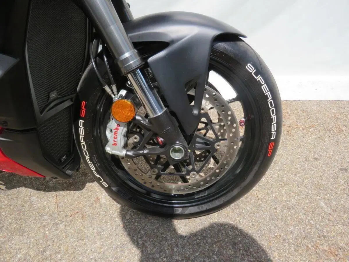 Ducati Streetfighter V4 1100 (2020) (9)