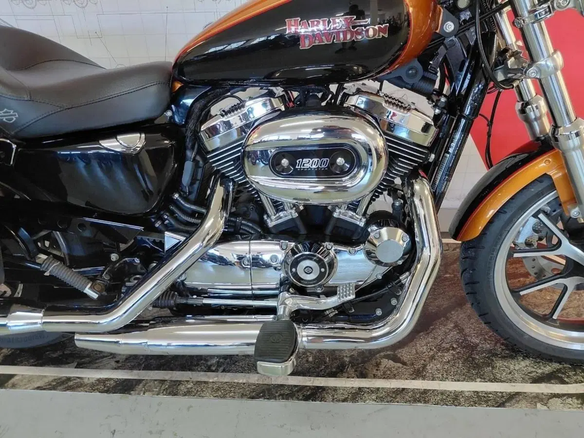 Harley-Davidson 1200 SuperLow (2014 - 16) - XL 1200T (3)