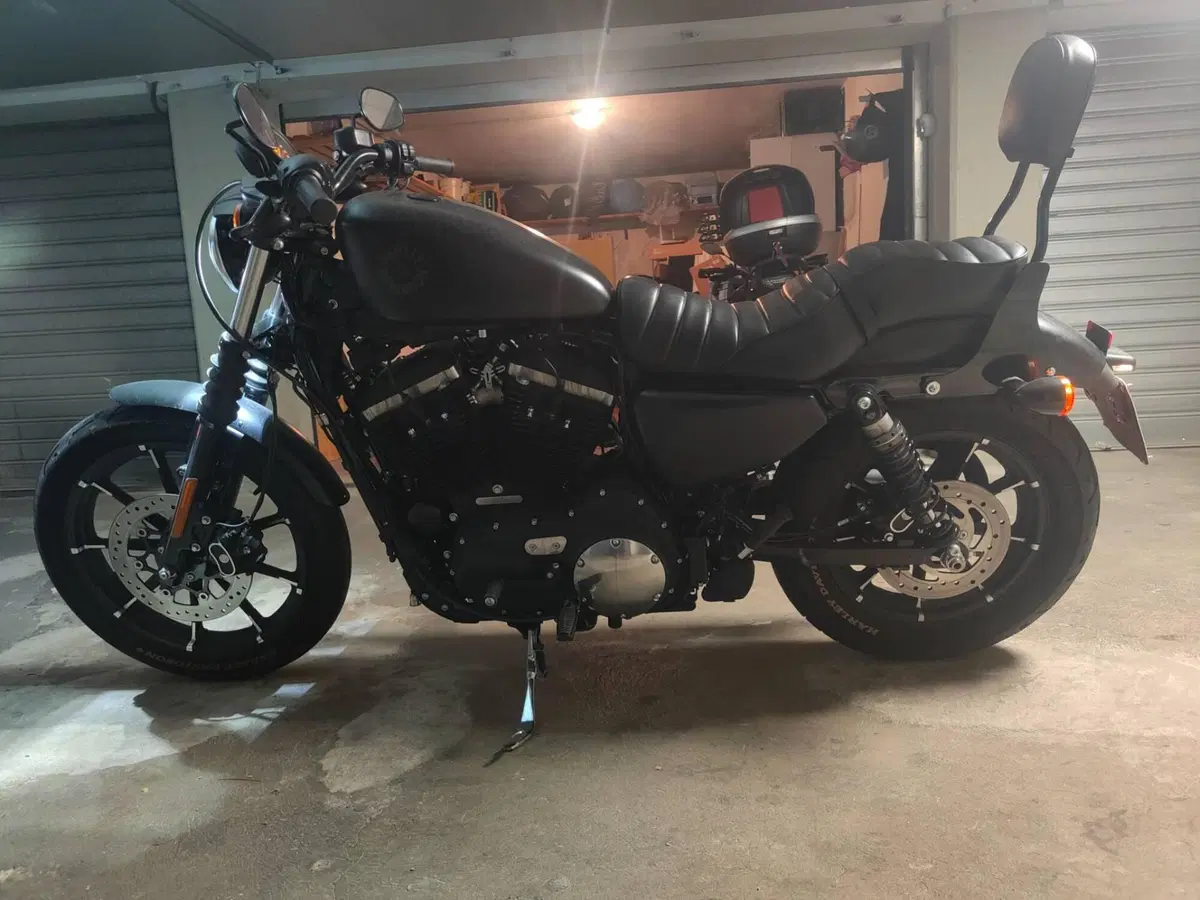 Harley-Davidson 883 Iron (2017 - 20) - XL 883N (9)