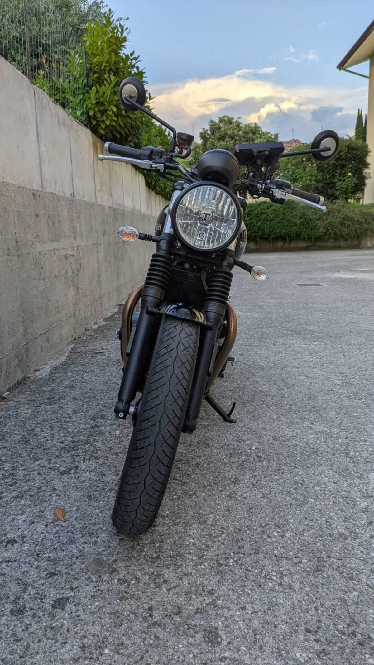 Triumph Street Twin 900 (2019 - 20) (5)