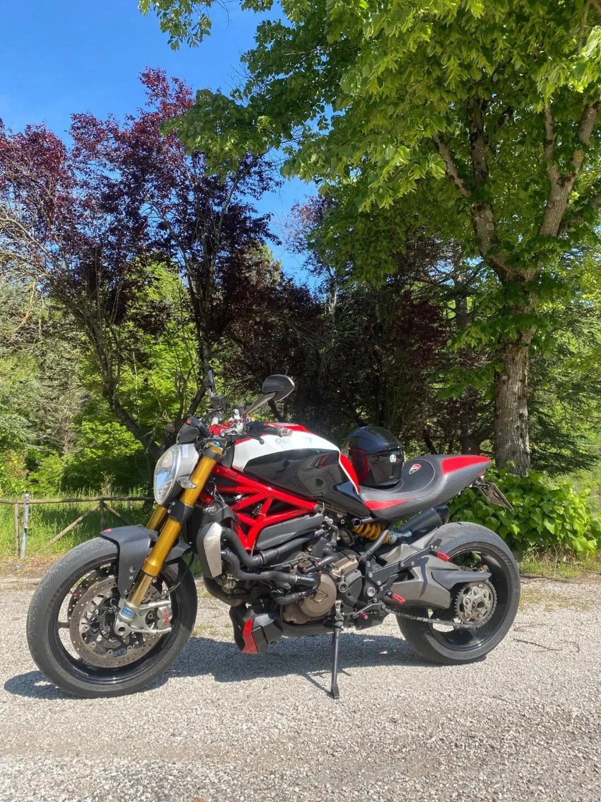 Ducati Monster 1200 S (2014 - 16) (8)