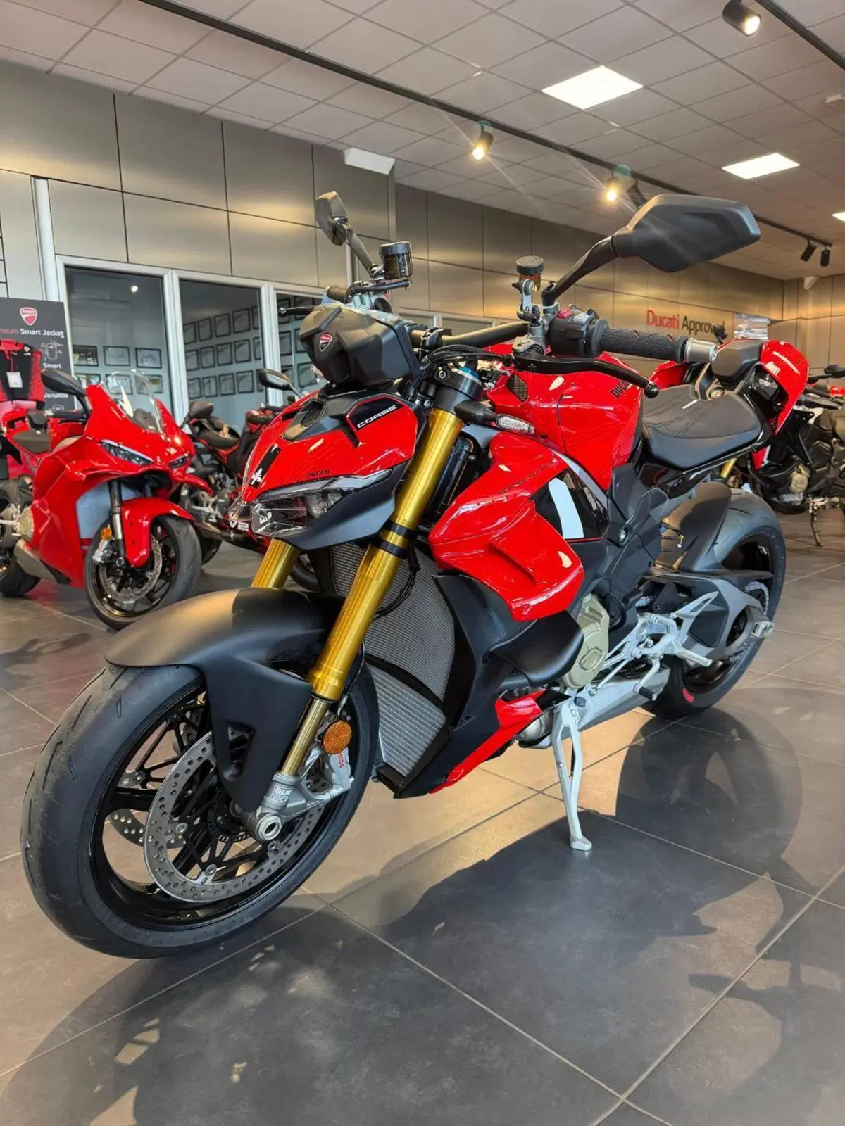 Ducati Streetfighter V4 S (2025 - 26) (3)