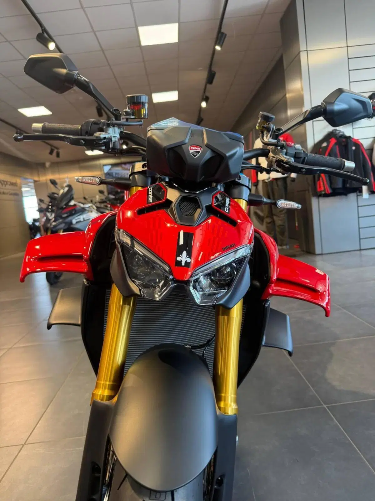Ducati Streetfighter V4 S (2025 - 26) (4)