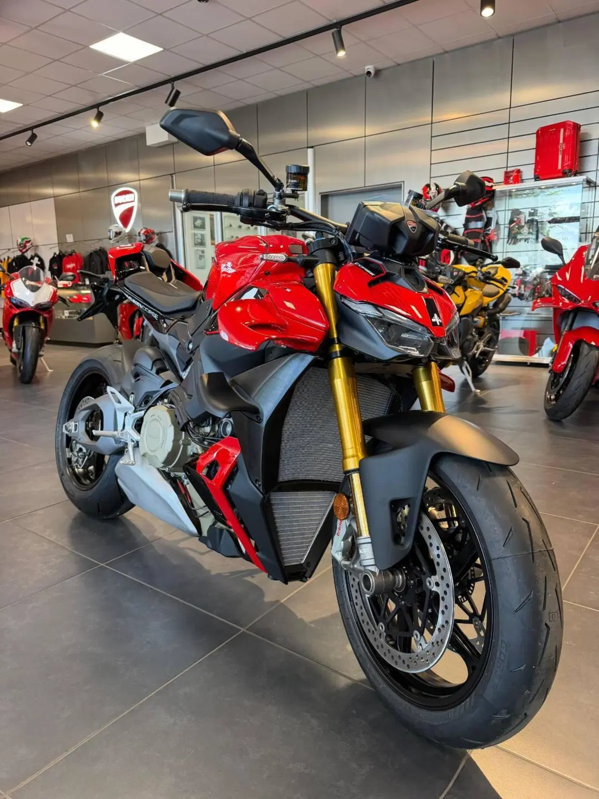 Ducati Streetfighter V4 S (2025 - 26) (5)