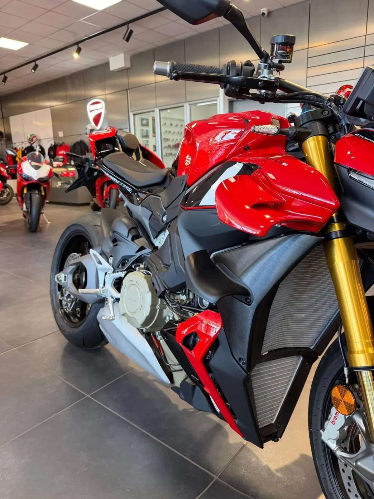 Ducati Streetfighter V4 S (2025 - 26) (13)