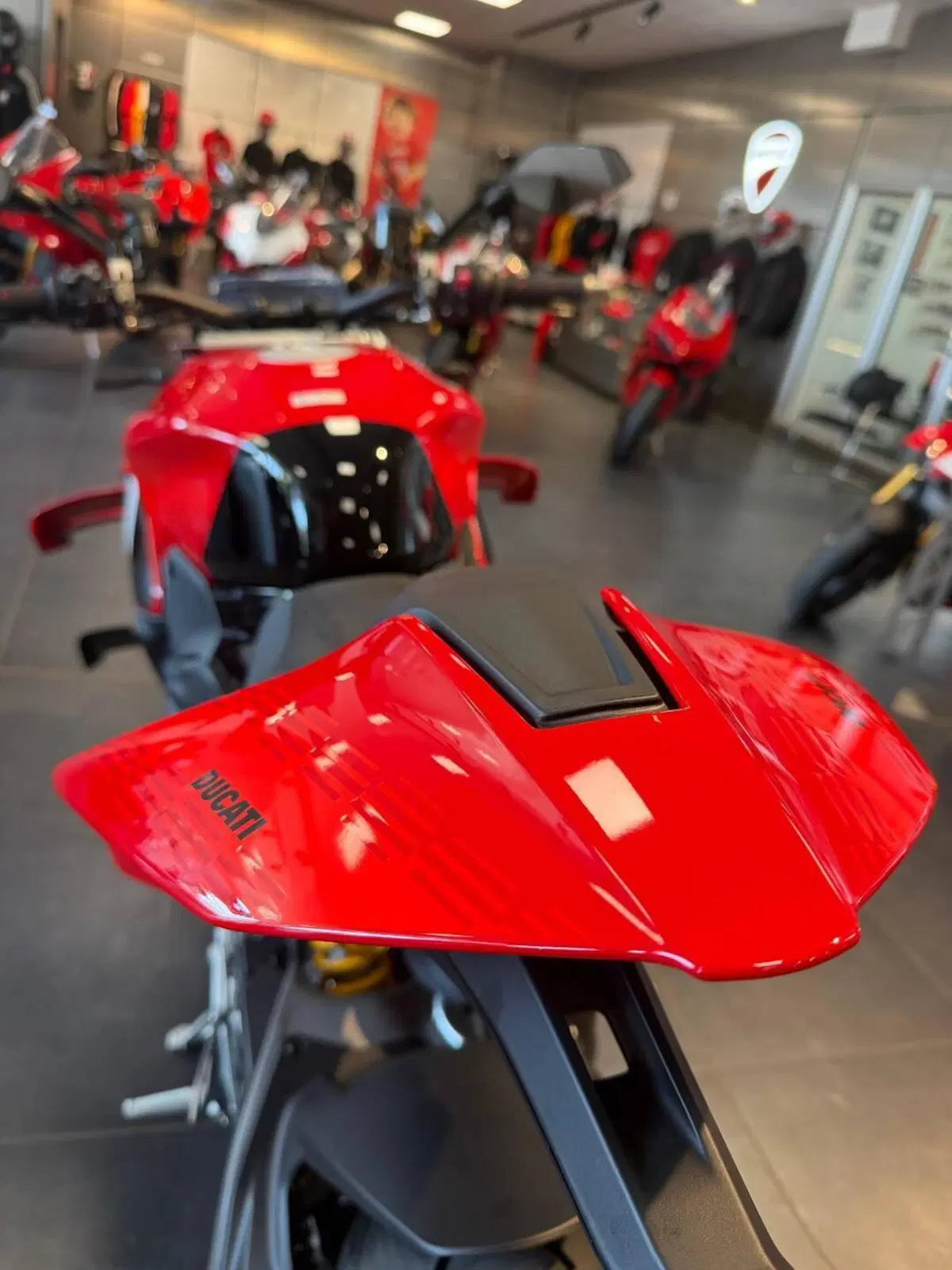 Ducati Streetfighter V4 S (2025 - 26) (14)