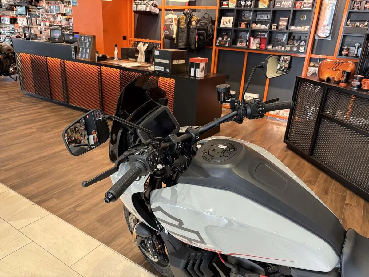 Harley-Davidson Pan America 1250 ST (2025 - 26) (7)