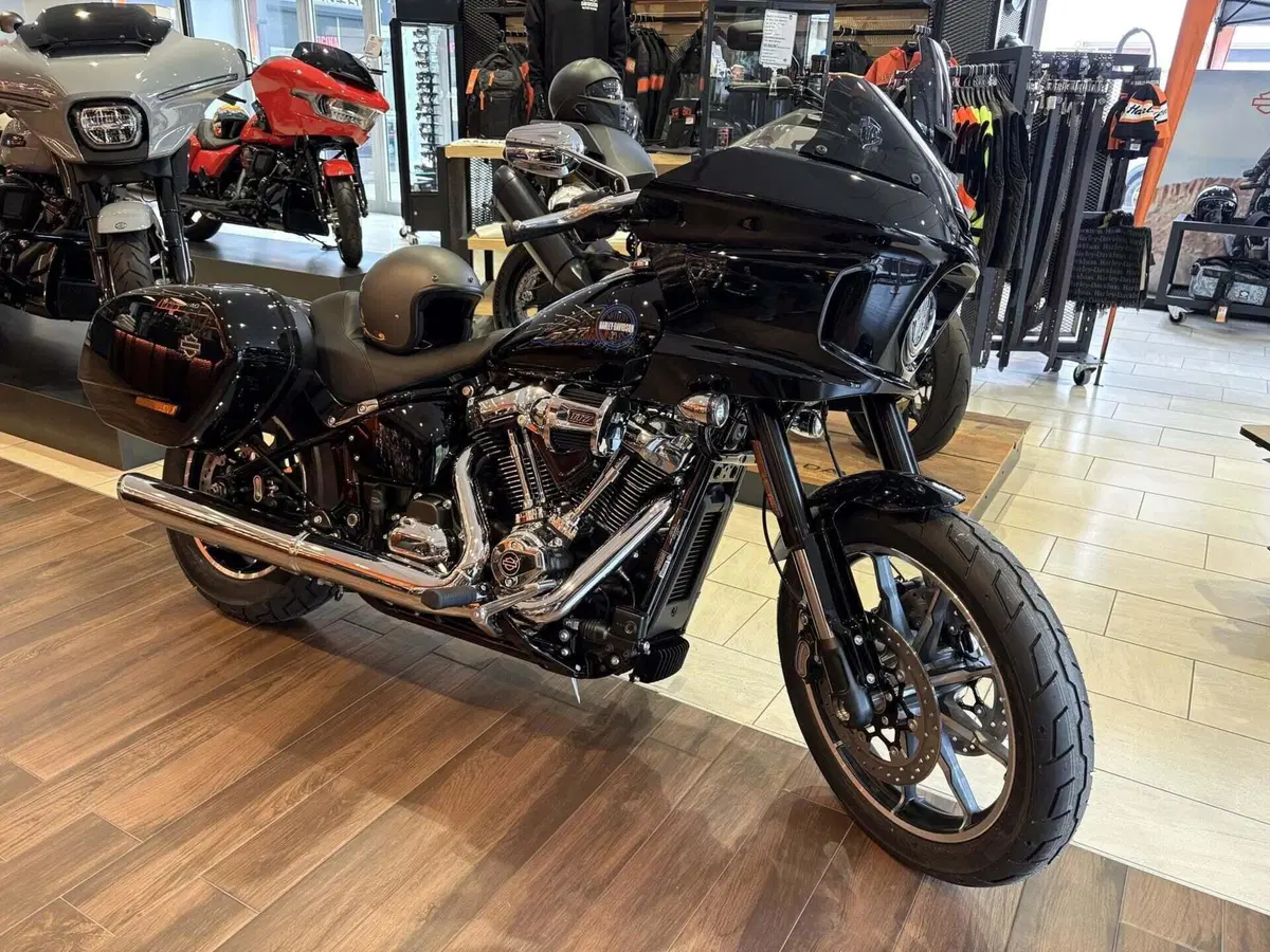 Harley-Davidson Low Rider ST (2025 - 26) (2)