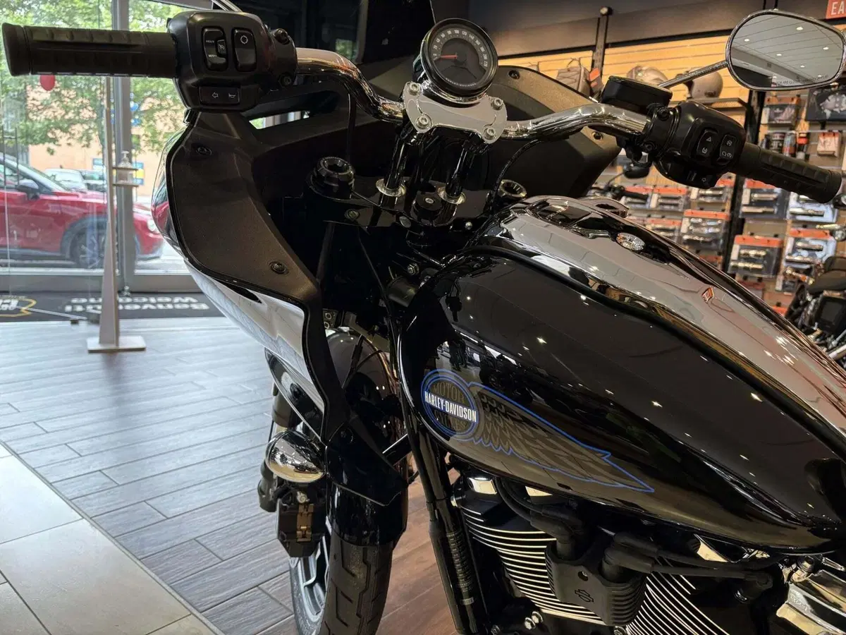Harley-Davidson Low Rider ST (2025 - 26) (5)