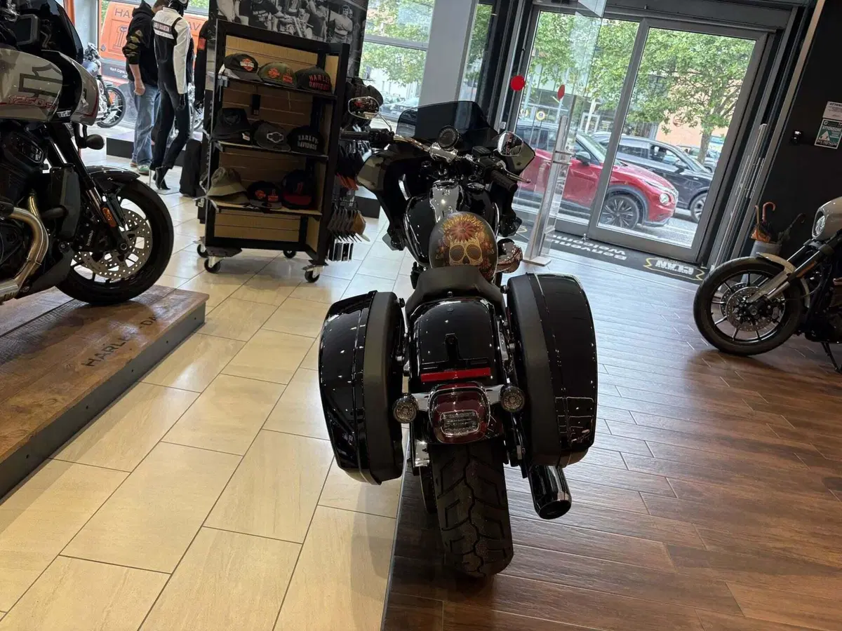 Harley-Davidson Low Rider ST (2025 - 26) (6)