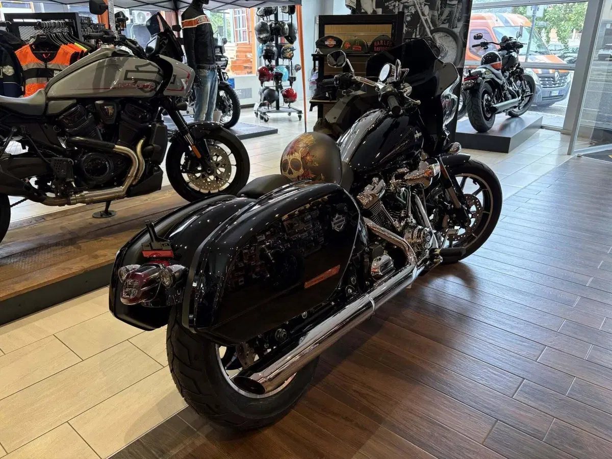 Harley-Davidson Low Rider ST (2025 - 26) (7)