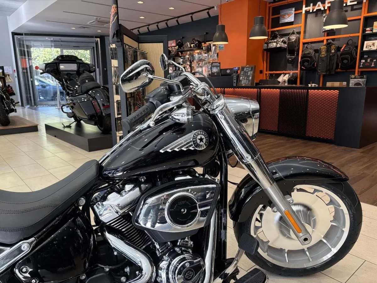 Harley-Davidson Fat Boy 117 (2025 - 26) (2)