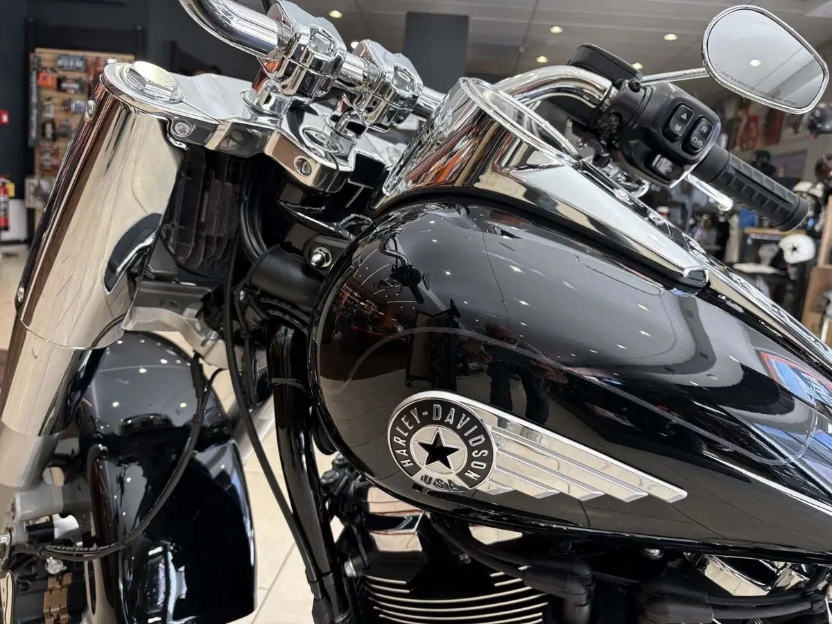 Harley-Davidson Fat Boy 117 (2025 - 26) (6)