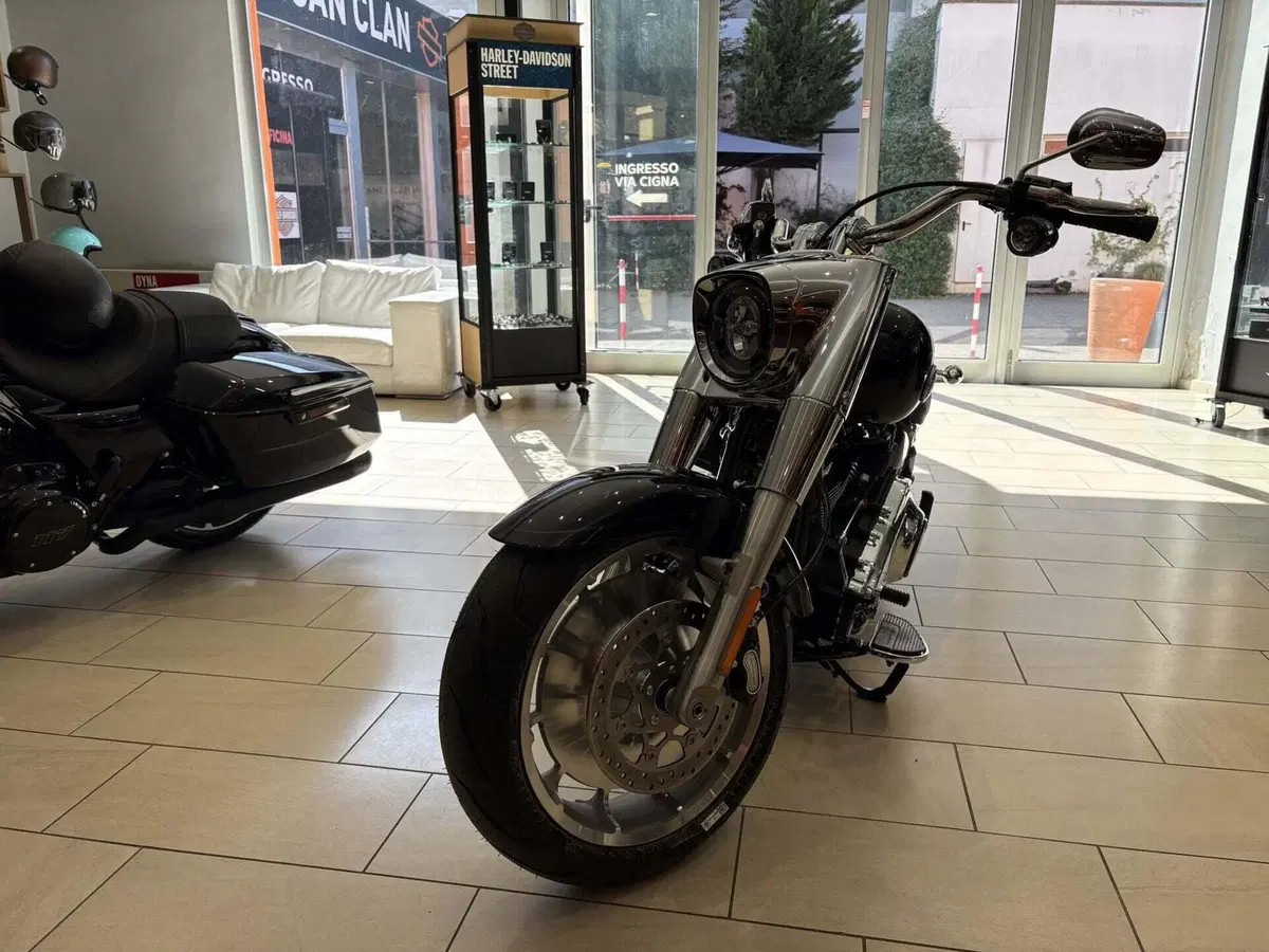 Harley-Davidson Fat Boy 117 (2025 - 26) (7)