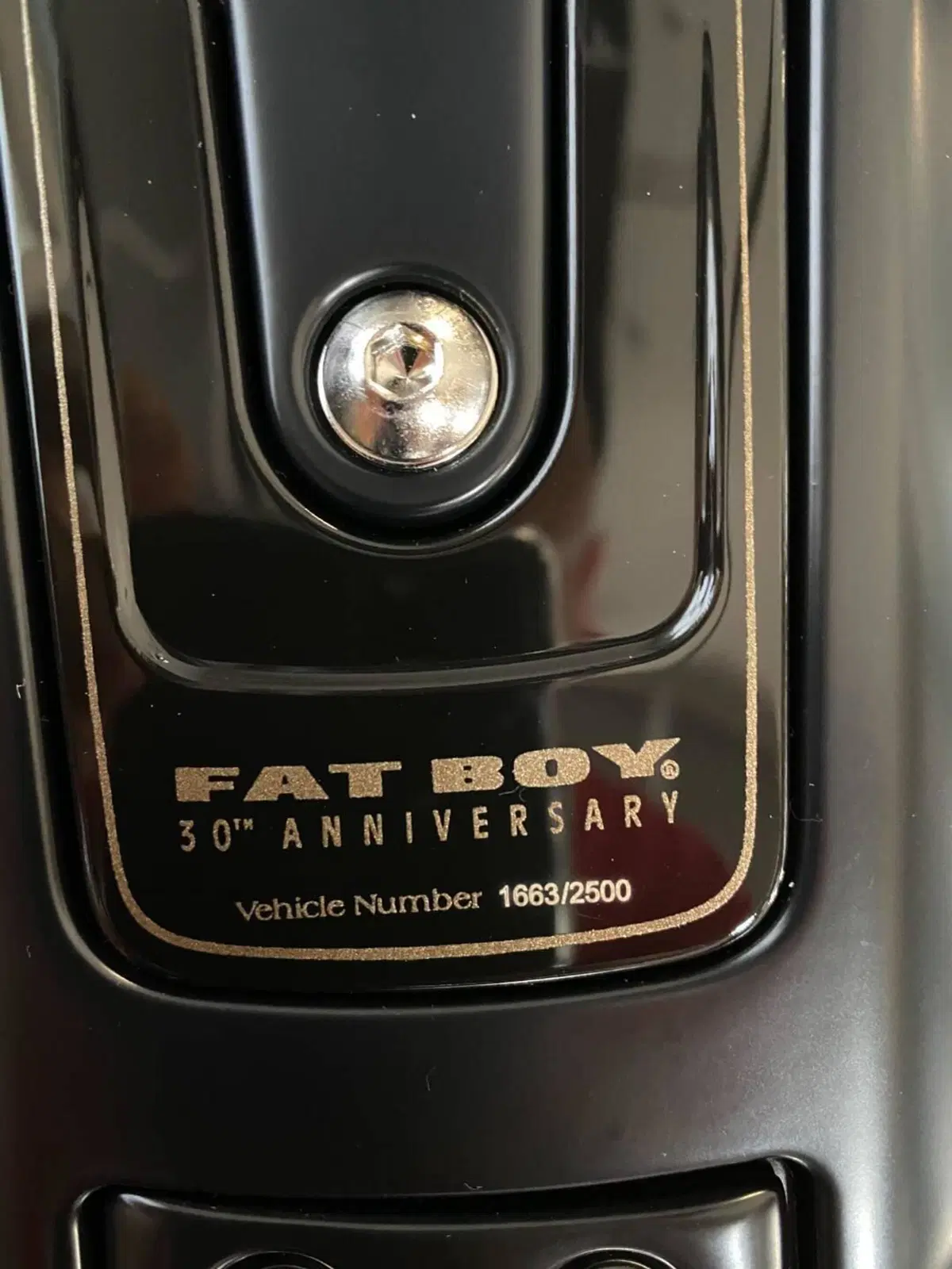 Harley-Davidson Fat Boy 114 Anniversary (2023)