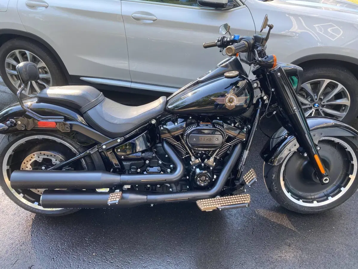 Harley-Davidson Fat Boy 114 Anniversary (2023) (4)