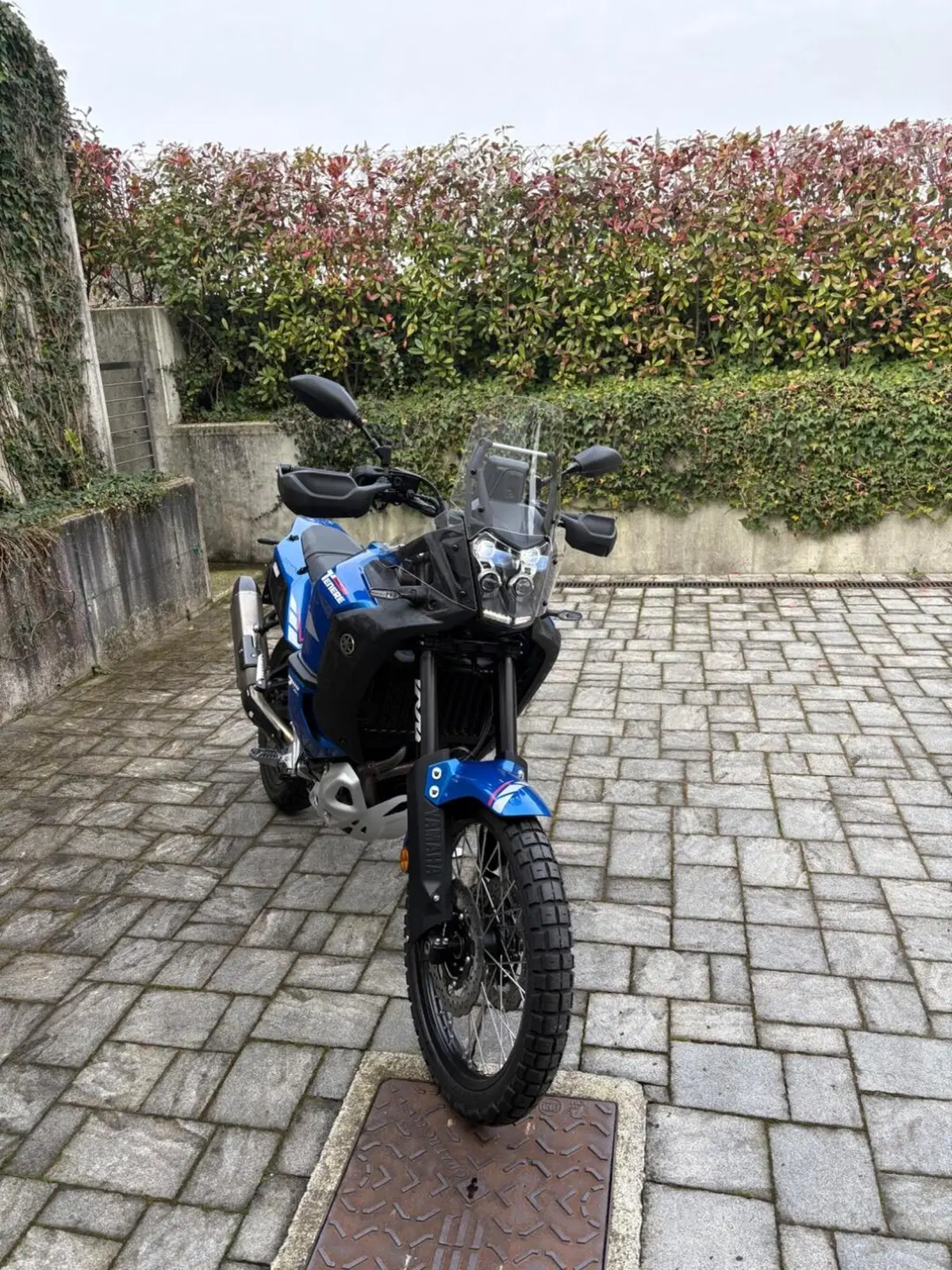 Yamaha Ténéré 700 World Rally (2023 - 25) (6)