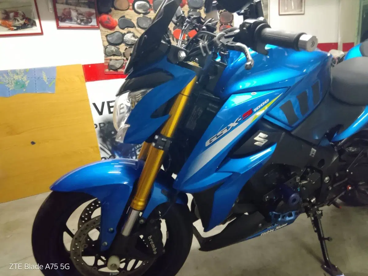 Suzuki GSX-S1000 ABS (2015 - 17) (2)