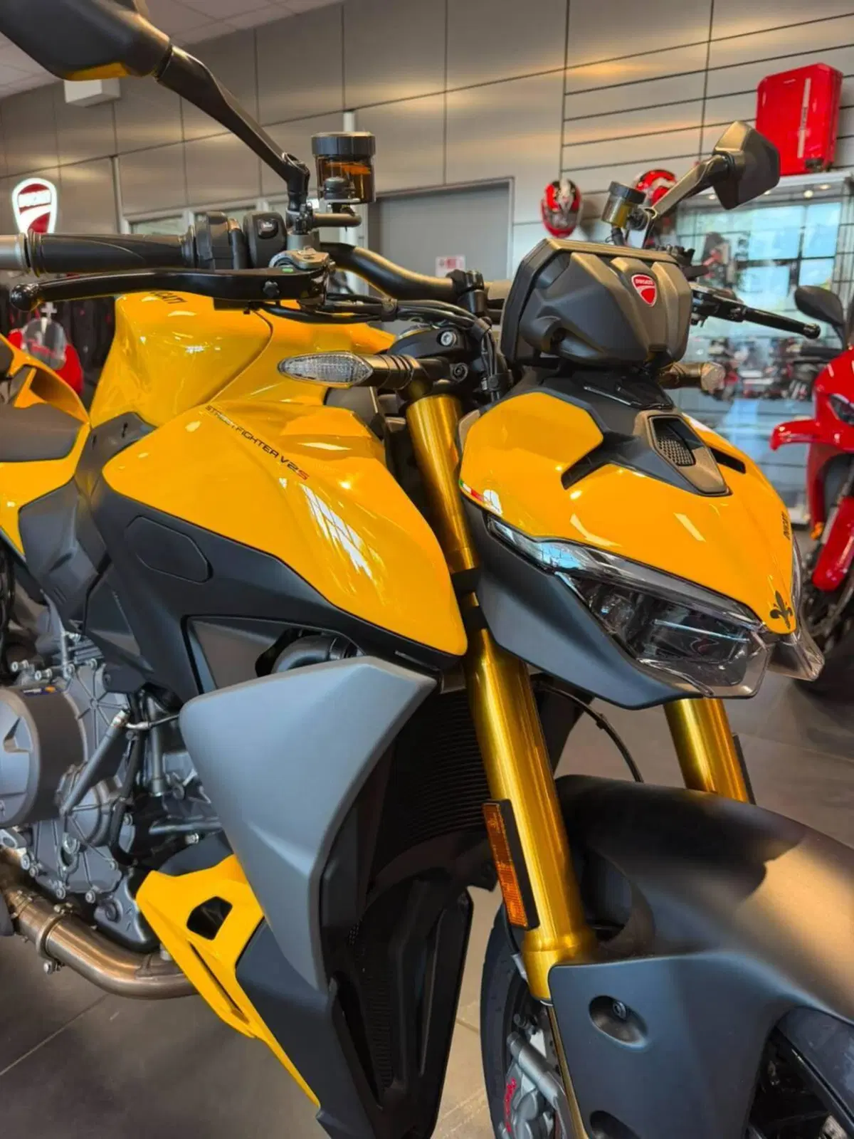 Ducati Streetfighter V2 S (2025 - 26) (9)