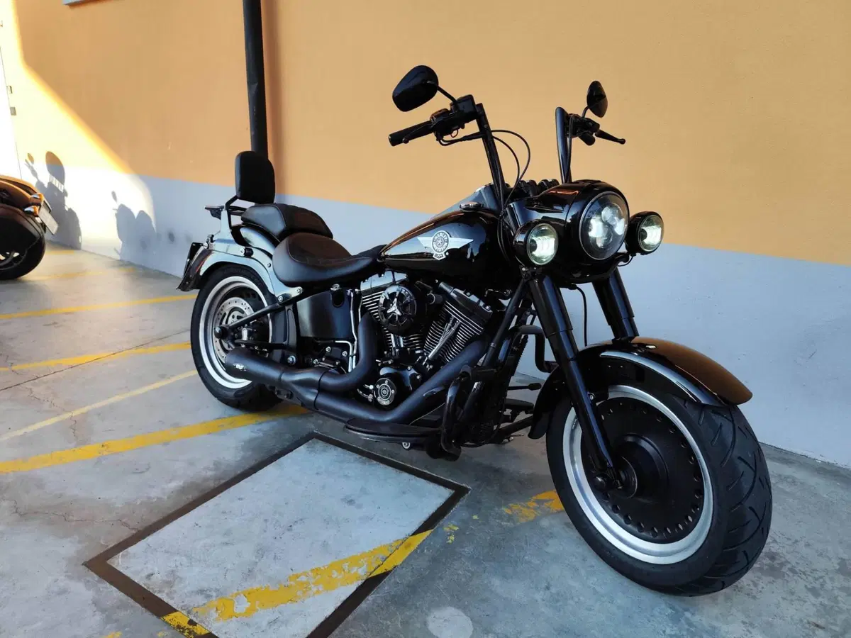 Harley-Davidson 1690 Fat Boy Special (2010 - 17) - FLSTF (2)