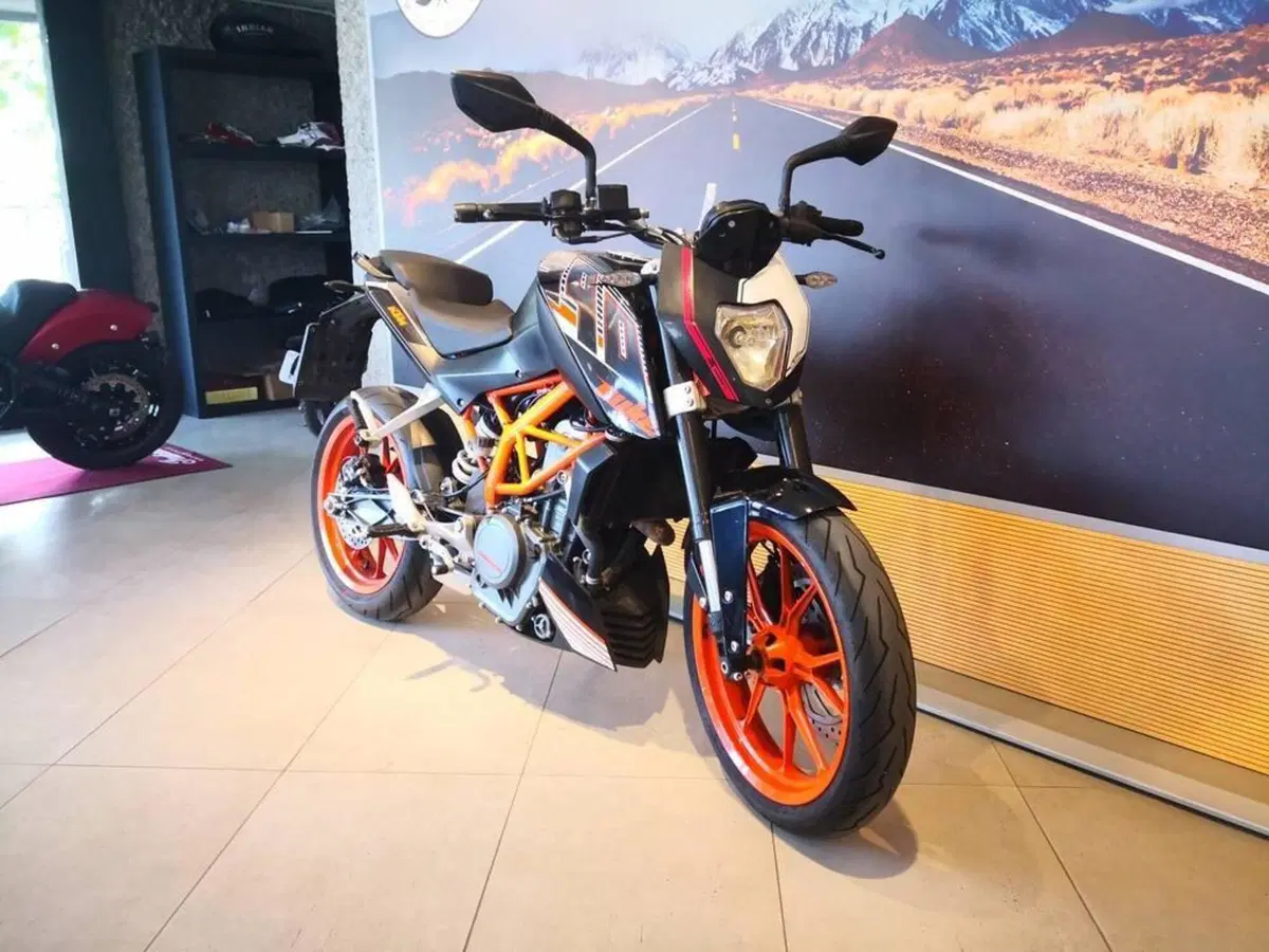 KTM 390 Duke ABS (2012 - 16) (3)