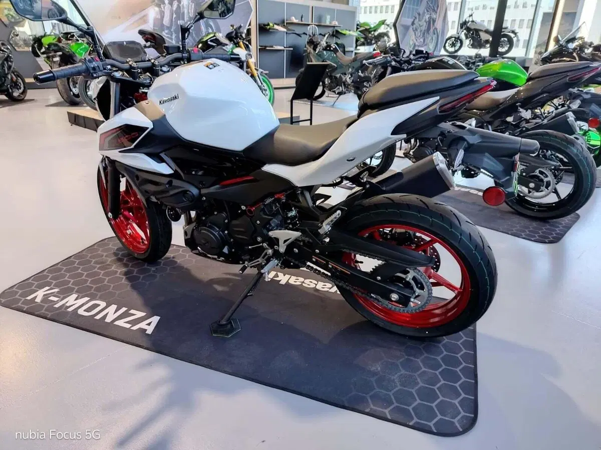 Kawasaki Z 500 SE (2024 - 26) (5)