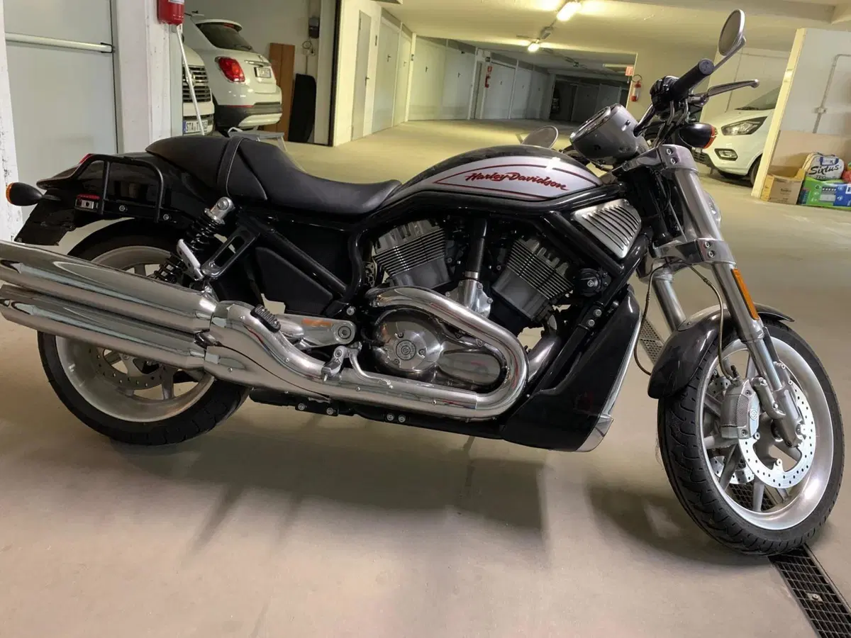 Harley-Davidson 1250 Street Rod (2005 - 06) - VRSCR