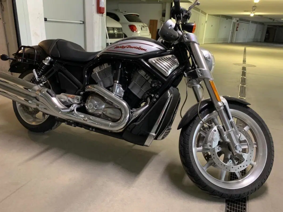 Harley-Davidson 1250 Street Rod (2005 - 06) - VRSCR (4)