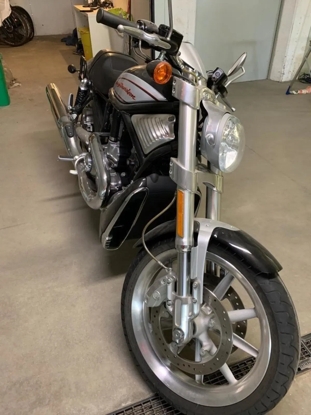Harley-Davidson 1250 Street Rod (2005 - 06) - VRSCR (5)