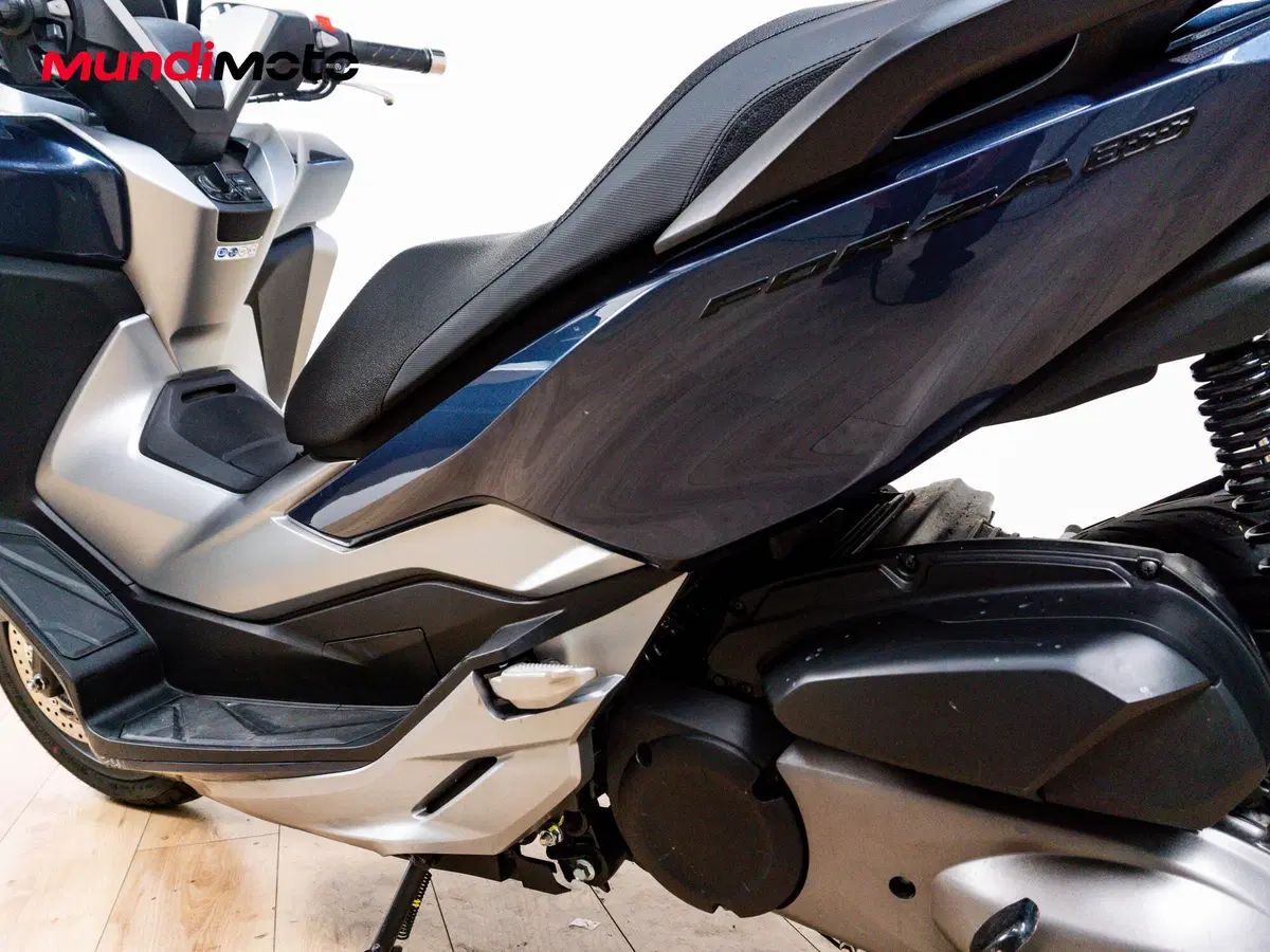 Honda Forza 300 (2019 - 20) (10)