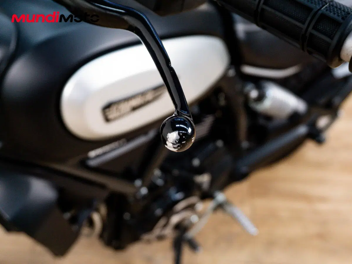 Ducati Scrambler 800 Icon Dark (2020) (13)