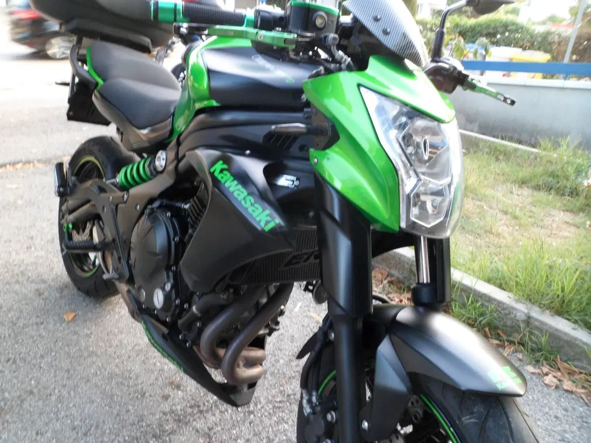 Kawasaki ER-6N (2012 - 13) (3)