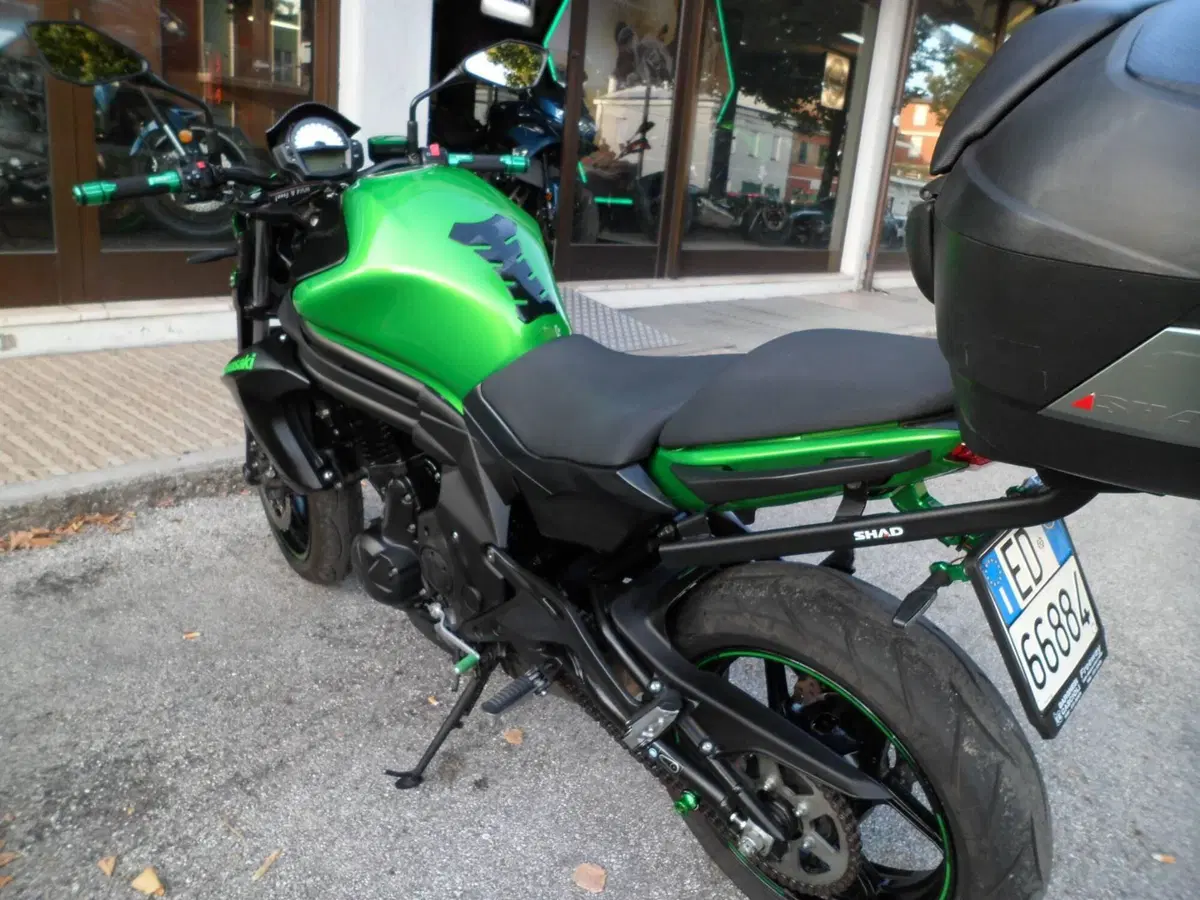 Kawasaki ER-6N (2012 - 13) (4)